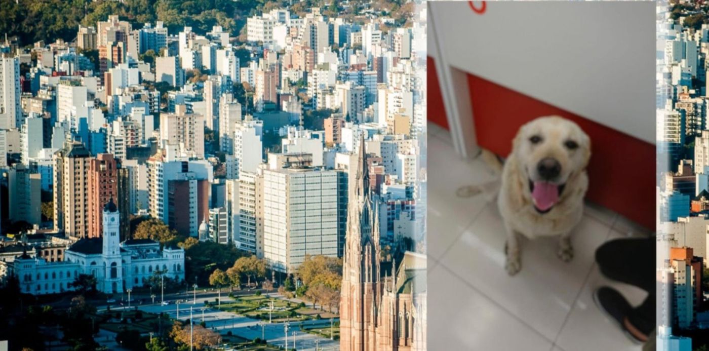 1541597126825.jpg?width=1478&scaleX=1&scaleY=1&ow=1500&oh=843&x=9&y=45&height=739&rotate=0&&cw=1920&ch=950