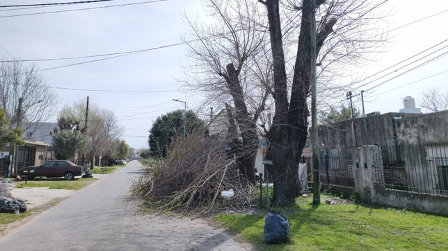vecinos reclaman por ramas, calles en mal estado y arboles con riesgo de caida
