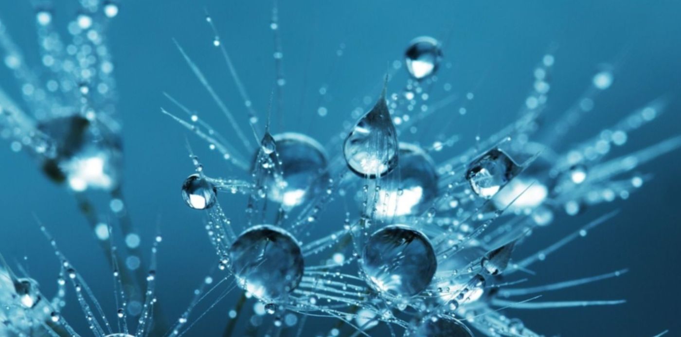 1644626817023.jpg?x=4&y=29&width=1250&height=626&rotate=0&scaleX=1&scaleY=1&ow=1280&oh=848&&cw=1920&ch=950