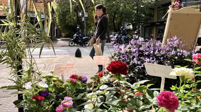 exposiciones, talleres y stands: se realizara la expo feria la plata en flor 2024