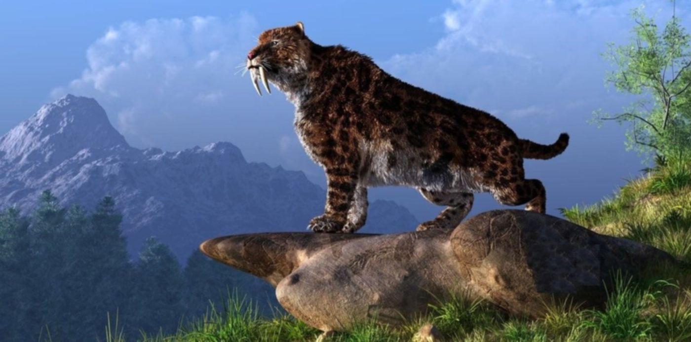 1558377411520.jpg?height=573&rotate=0&scaleY=1&ow=1191&oh=670&x=3&y=0&width=1145&scaleX=1&&cw=1920&ch=950