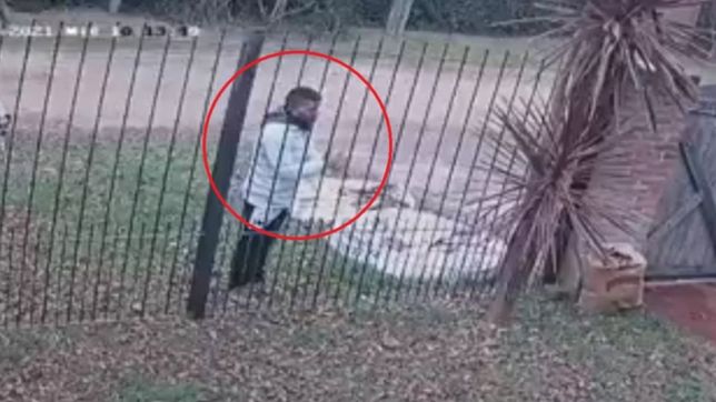 video: golpean las manos y entran a robar a casas de la plata si nadie atiende