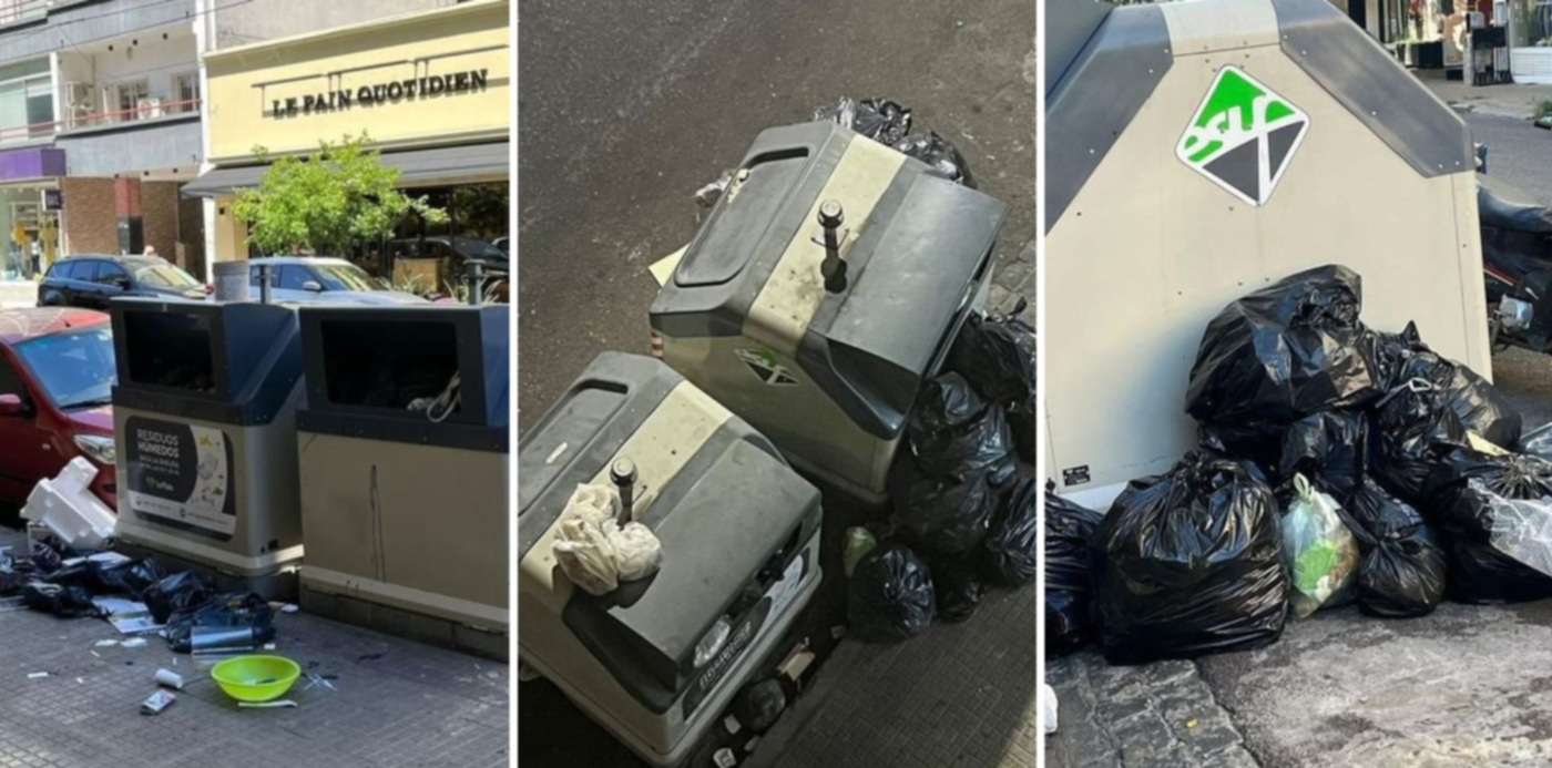 1682816062712.jpg?x=8&y=0&width=1482&height=741&rotate=0&scaleX=1&scaleY=1&ow=1500&oh=742&&cw=1920&ch=950