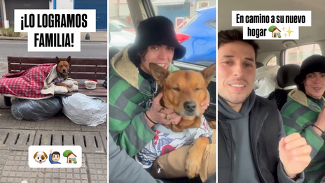 El joven que buscaba una casa para él y su mascota fue ayudado por cientos de vecinos y ya tiene hogar
