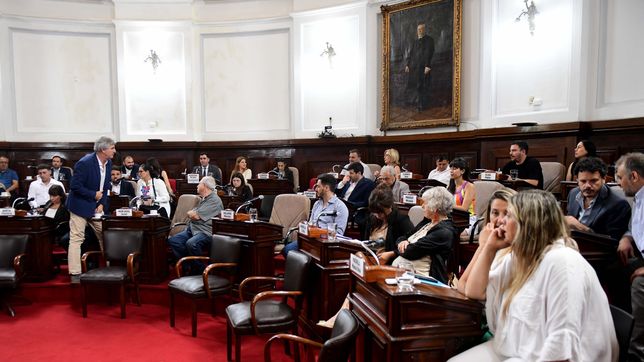 el concejo deliberante vota para definir el futuro de la defensoria ciudadana de la plata