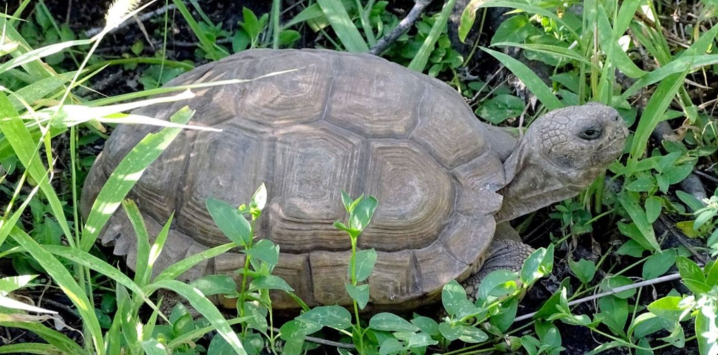 1580753065996.jpg?rotate=0&scaleX=1&scaleY=1&ow=1500&oh=843&x=9&y=42&height=743&width=1487&&cw=1920&ch=950