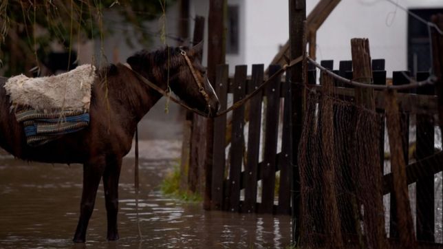 la municipalidad de berisso asiste a los vecinos que fueron afectados por las lluvias