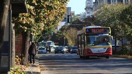 choque y milagro: una nena bajo de un micro, intento cruzar la calle y la embistio un auto choque y milagro: una nena bajo de un micro, intento cruzar la calle y la embistio un auto