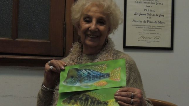 0221.com.ar | 1581658285389.jpg?rotate=0&ow=1500&oh=1125&width=1485&y=23&height=743&scaleX=1&scaleY=1&x=4&&cw=1920&ch=950