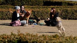 arranca un fin de semana para disfrutar al aire libre en la plata arranca un fin de semana para disfrutar al aire libre en la plata