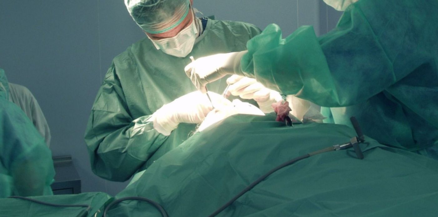 1646500477230.jpg?x=73&y=5&width=1402&height=701&rotate=0&scaleX=1&scaleY=1&ow=1500&oh=713&&cw=1920&ch=950