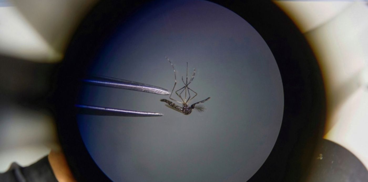 1681844307246.jpeg?x= 20&y=90&width=1540&height=769&rotate=0&scaleX=1&scaleY=1&ow=1500&oh=999&&cw=1920&ch=950