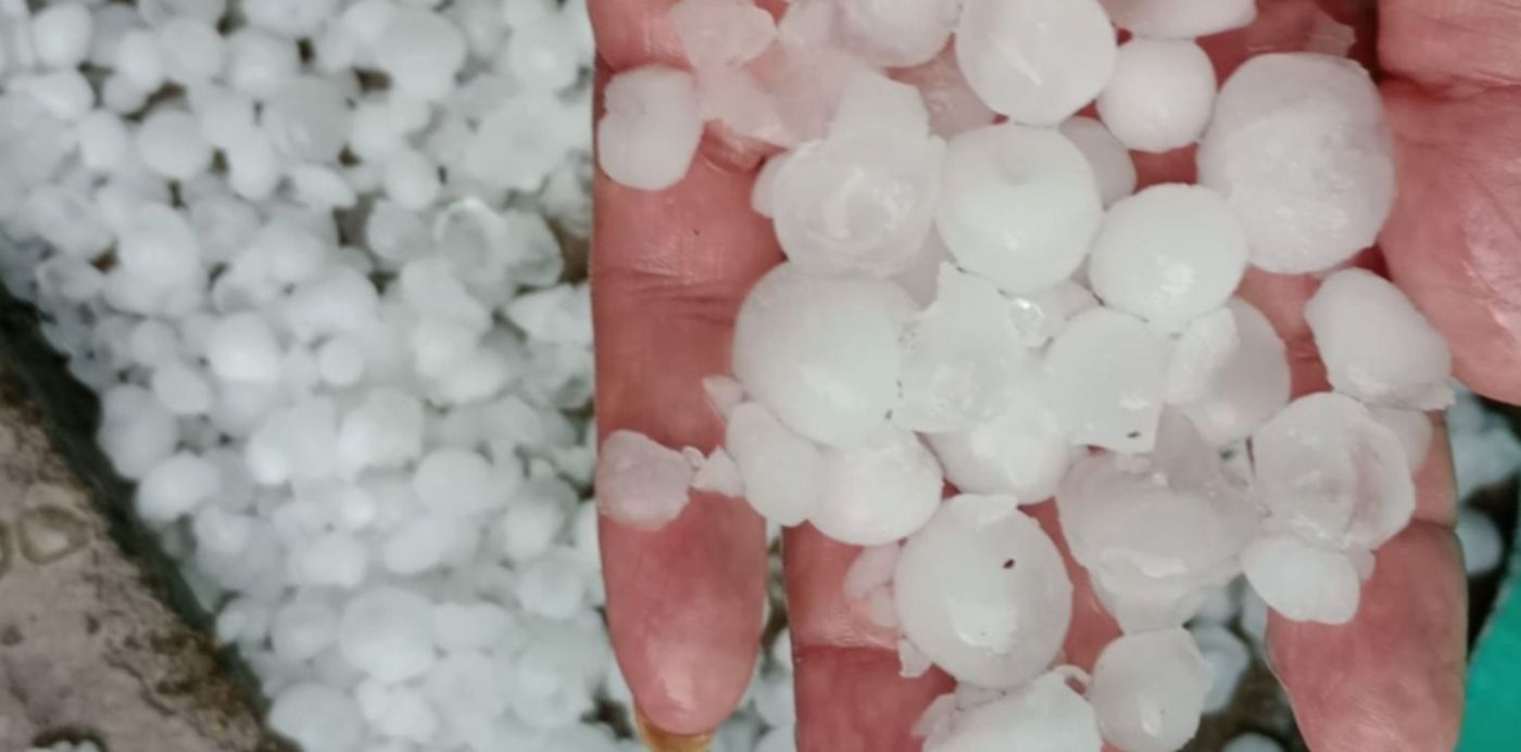 1692278232706.jpeg?x=15&y=339&width=1474&height=737&rotate=0&scaleX=1&scaleY=1&ow=1500&oh=1128&&cw=1920&ch=950