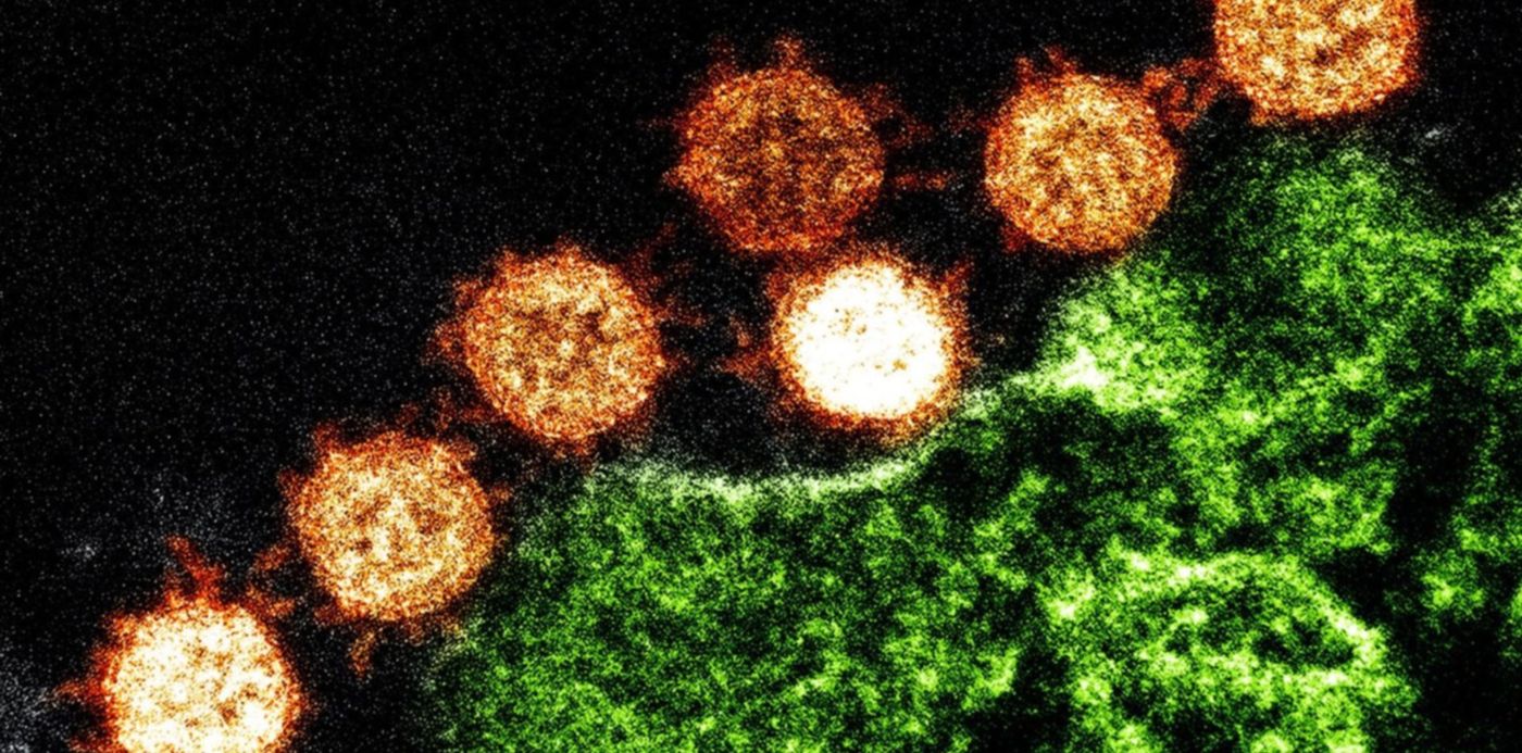 1580068416397.jpg?y=129&width=1486&scaleX=1&scaleY=1&oh=999&x=10&height=743&rotate=0&ow=1500&&cw=1920&ch=950