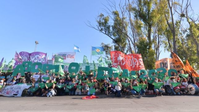 la marea verde copo la rotonda de ingreso a la plata para pedir por el aborto legal
