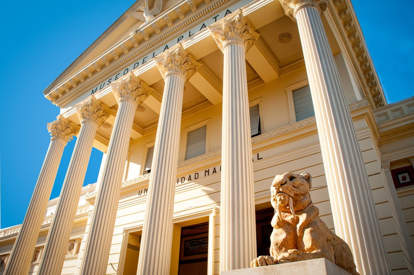 Museo de Ciencias Naturales (33).jpg