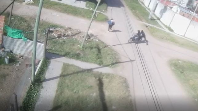 video: violento robo a una mujer a plena luz del dia en un barrio de la plata