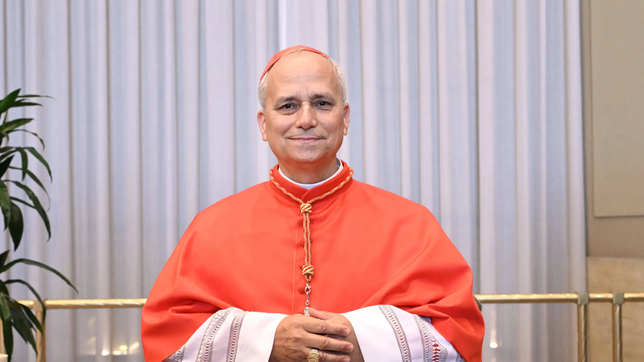 la llamativa coincidencia entre la eleccion del nuevo papa, su nombre y la virgen de lujan