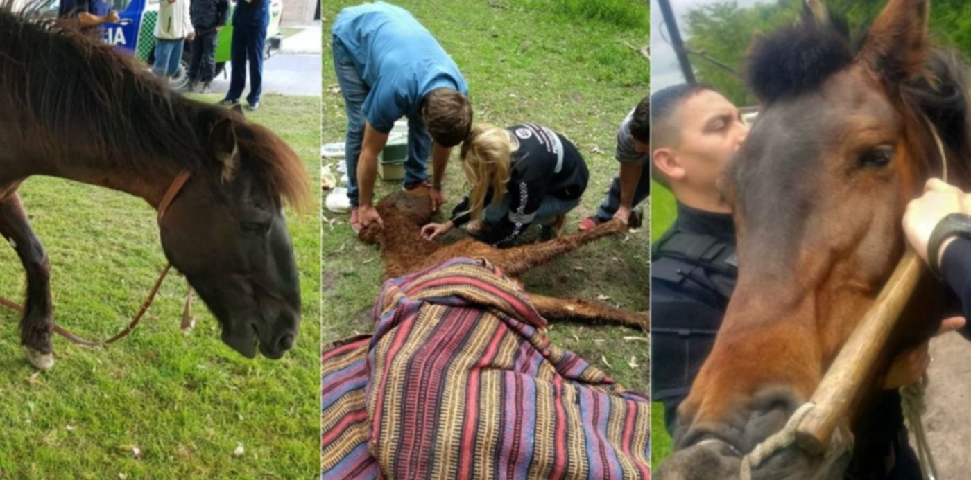 1540733388600.jpg?scaleY=1&oh=732&x=10&y=82&rotate=0&scaleX=1&width=1177&height=589&ow=1200&&cw=1920&ch=950