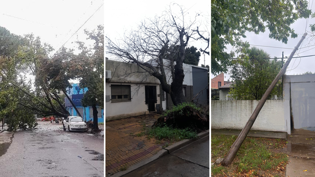las impactantes postales del temporal que sacudio la ciudad