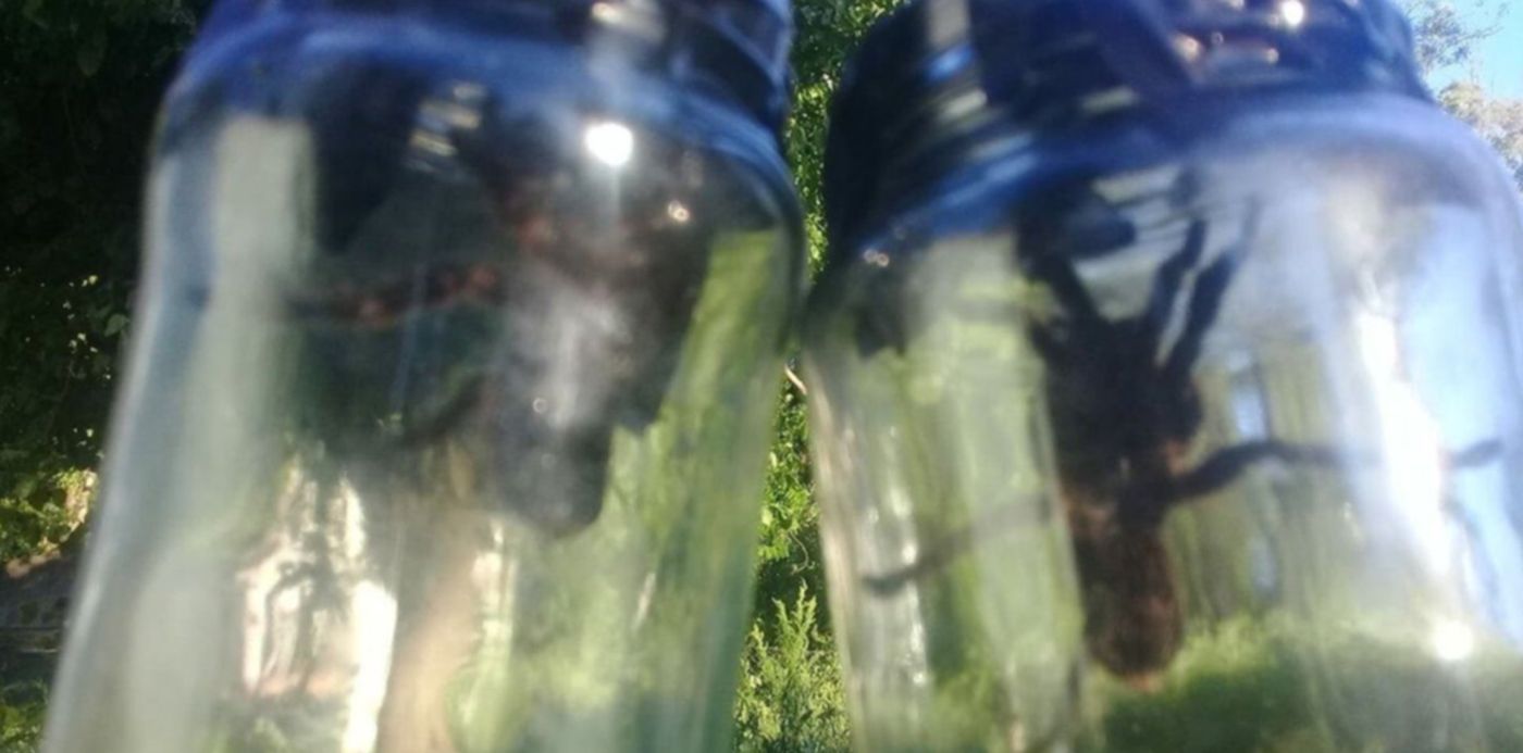 1543856651221.jpg?x=6&rotate=0&scaleY=1&oh=900&y=57&width=1188&height=594&scaleX=1&ow=1200&&cw=1920&ch=950