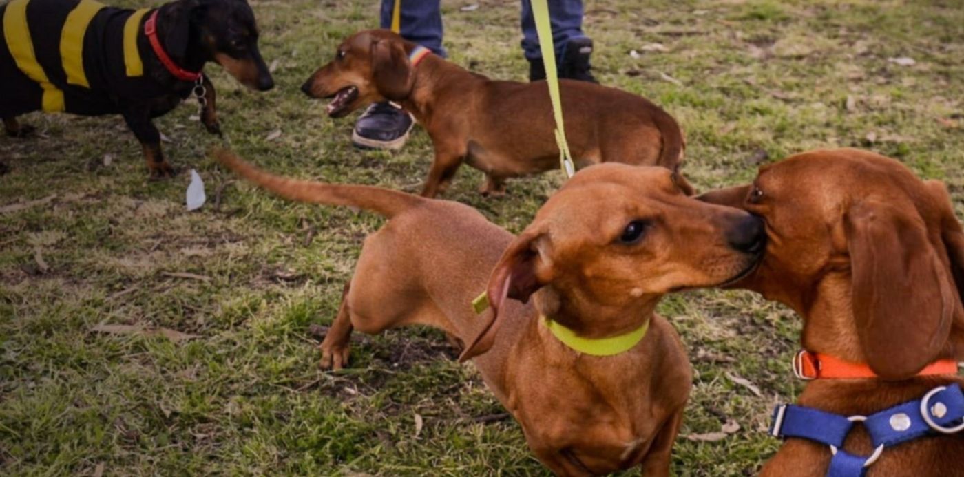 1538950453652.jpeg?x=11&rotate=0&scaleX=1&ow=1280&oh=853&y=190&width=1254&height=627&scaleY=1&&cw=1920&ch=950