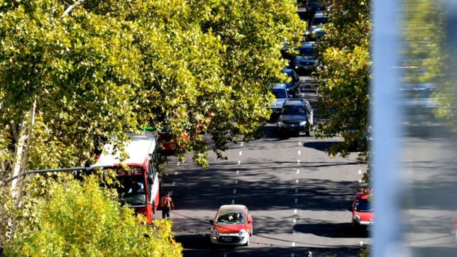 dia por dia, asi va a estar el clima en la ciudad tras el fin de semana a puro sol