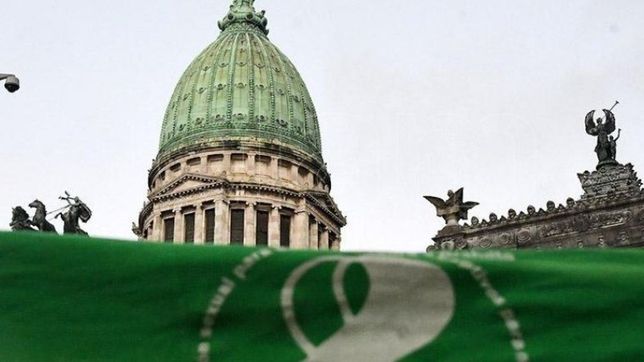 la ley de aborto fue oficializada en el boletin oficial