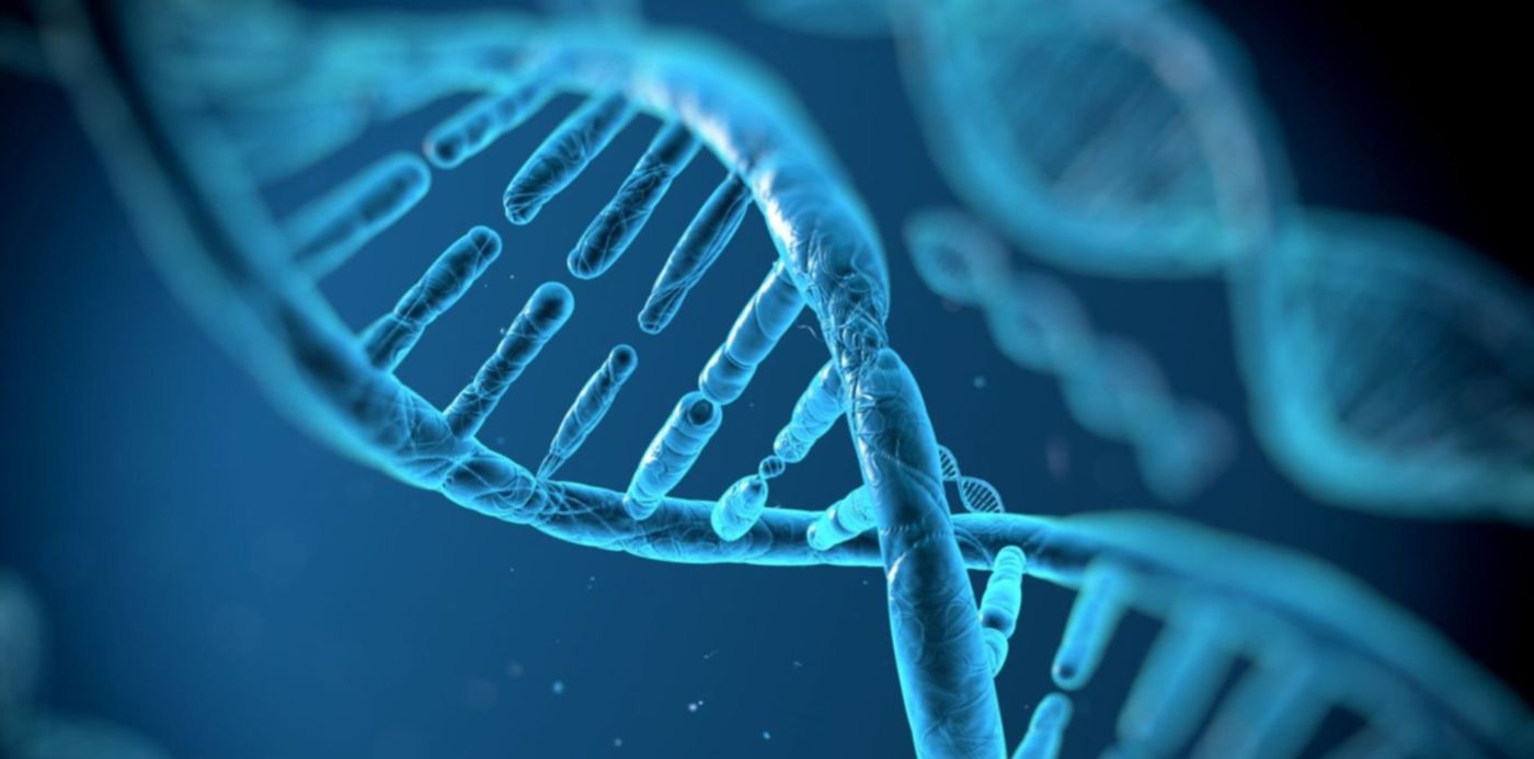 1596245581294.jpg?x=3&y=7&width=1493&height=747&rotate=0&scaleX=1&scaleY=1&ow=1500&oh=1000&&cw=1920&ch=950