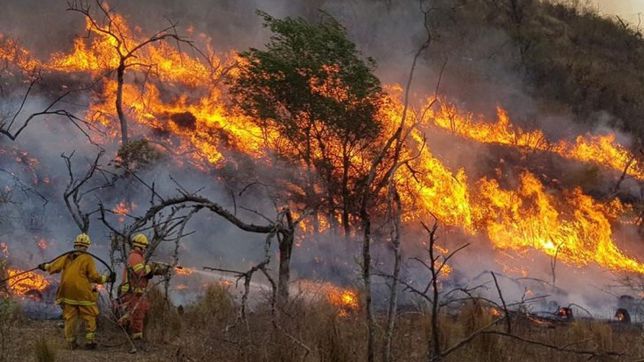 lanzan una colecta para enviar recursos a el bolson en medio de los devastadores incendios