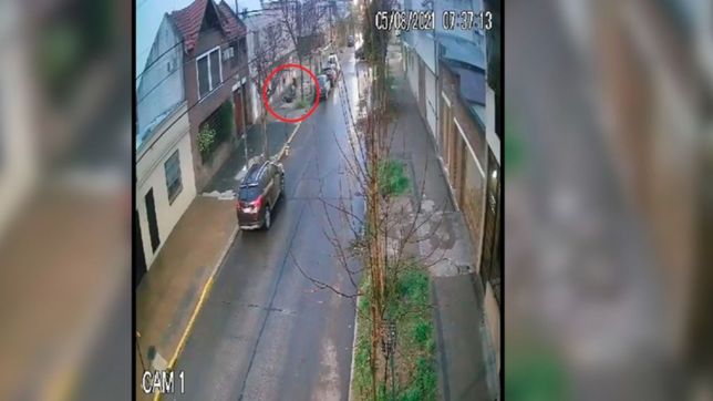 video: dos ladrones golpearon y arrastraron a una maestra para robarle en la plata