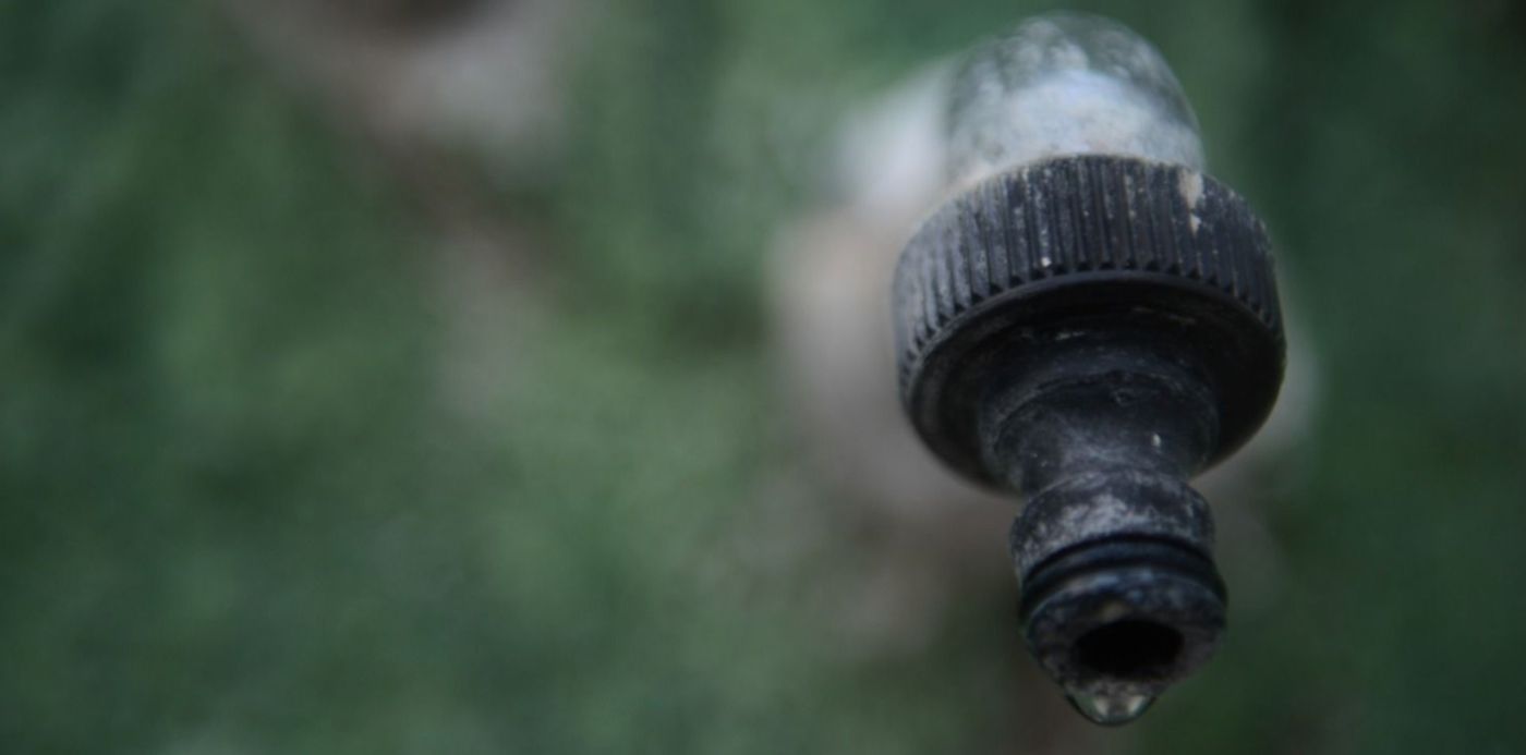 1580776083484.jpg?x=17&y=176&width=1476&height=738&rotate=0&scaleX=1&scaleY=1&ow=1500&oh=996&&cw=1920&ch=950