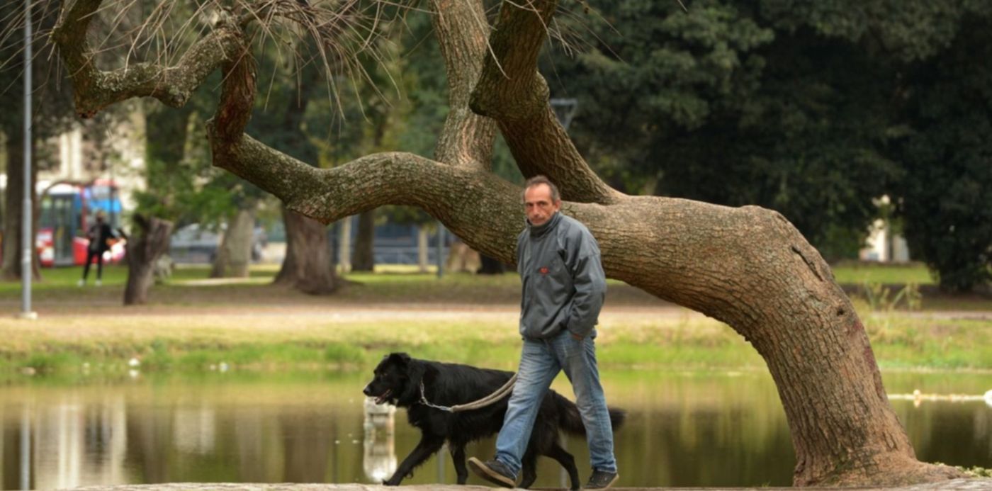 1627054245078.jpg?x=21&y=208&width=1458&height=729&rotate=0&scaleX=1&scaleY=1&ow=1500&oh=965&&cw=1920&ch=950