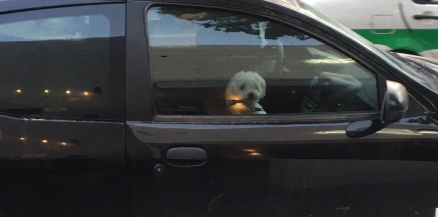 1547034468417.jpg?height=598&scaleX=1&scaleY=1&ow=1200&x=3&y=77&oh=675&width=1196&rotate=0&&cw=1920&ch=950