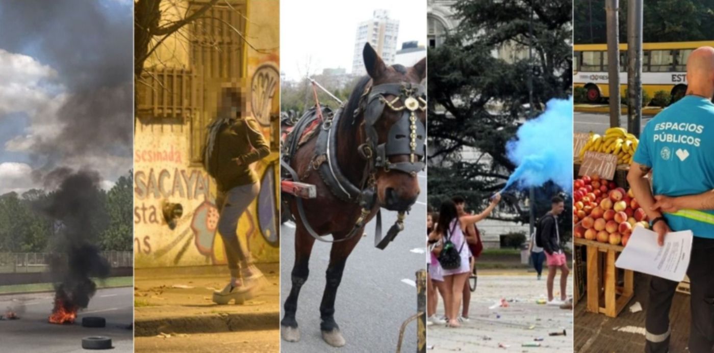 1633625278682.jpg?x=27&y=3&width=1461&height=731&rotate=0&scaleX=1&scaleY=1&ow=1500&oh=742&&cw=1920&ch=950