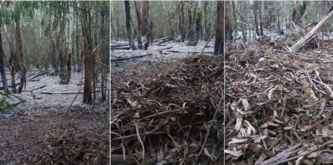 1615769656696.jpg?x=18&y=0&width=1464&height=732&rotate=0&scaleX=1&scaleY=1&ow=1500&oh=742&&cw=1920&ch=950