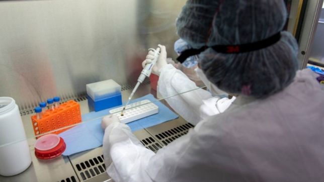 coronavirus en argentina: confirman 7.513 casos nuevos y 147 muertes