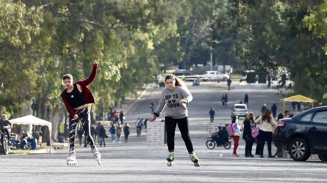 el plan para preservar el bosque incluye cerrarlo de noche y ensanchar la calle 50