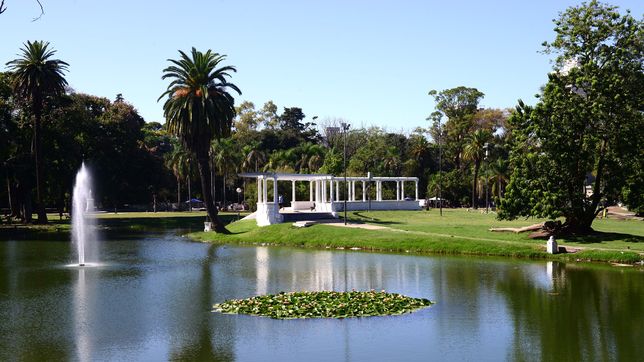 piden declarar patrimonio ambiental de la ciudad al parque saavedra