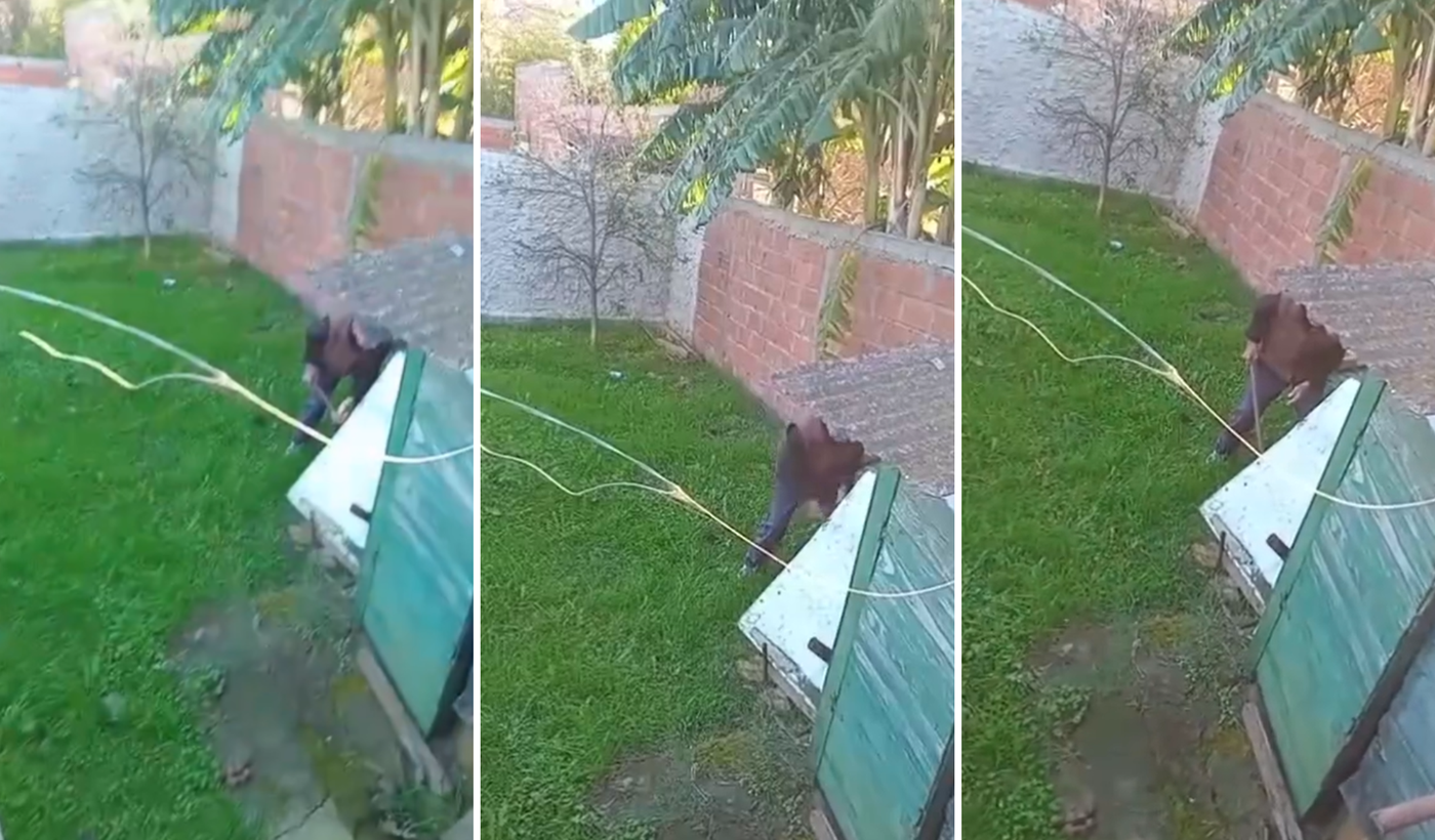 maltrato animal en melchor romero portada.png