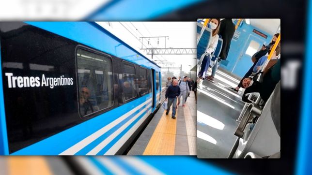 video: se le atoro la cabeza en un asiento del roca y demoro el tren casi media hora