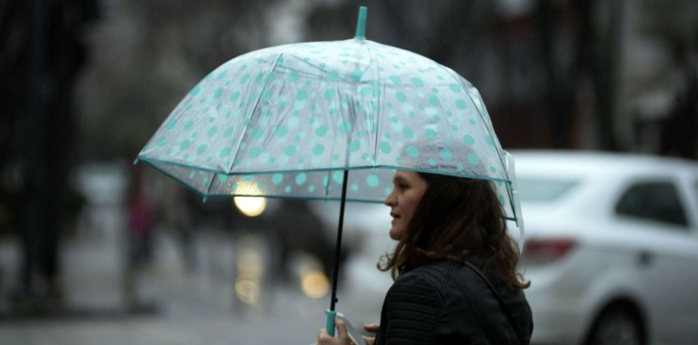 1644094610007.jpg?x=9&y=60&width=1488&height=743&rotate=0&scaleX=1&scaleY=1&ow=1500&oh=938&&cw=1920&ch=950