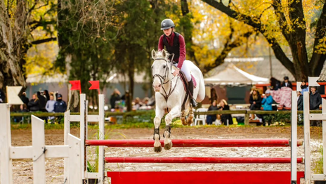 Siguen los festejos por el aniversario de La Plata con el Gran Premio del Club Hípico Siguen los festejos por el aniversario de La Plata con el Gran Premio del Club Hípico
