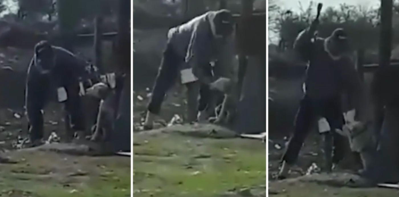 1677586277966.jpg?x=8&y=0&width=1484&height=742&rotate=0&scaleX=1&scaleY=1&ow=1500&oh=742&&cw=1920&ch=950