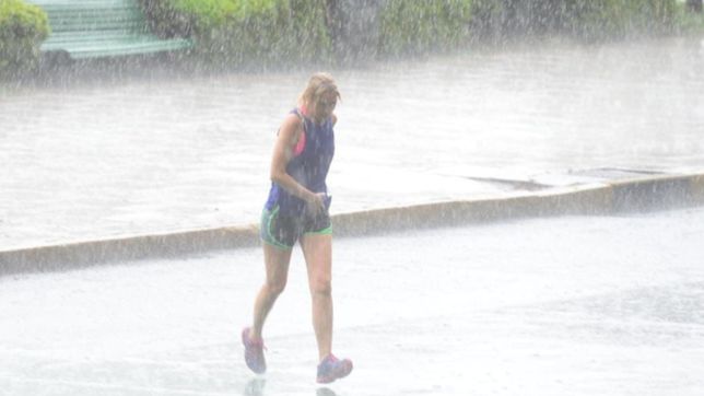 lluvia torrencial en la plata: ¿en que barrios cayo mayor cantidad de agua?