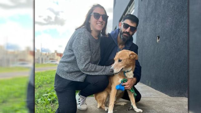 aparecio homero, el perro que estuvo desaparecido mas de dos semanas en la plata