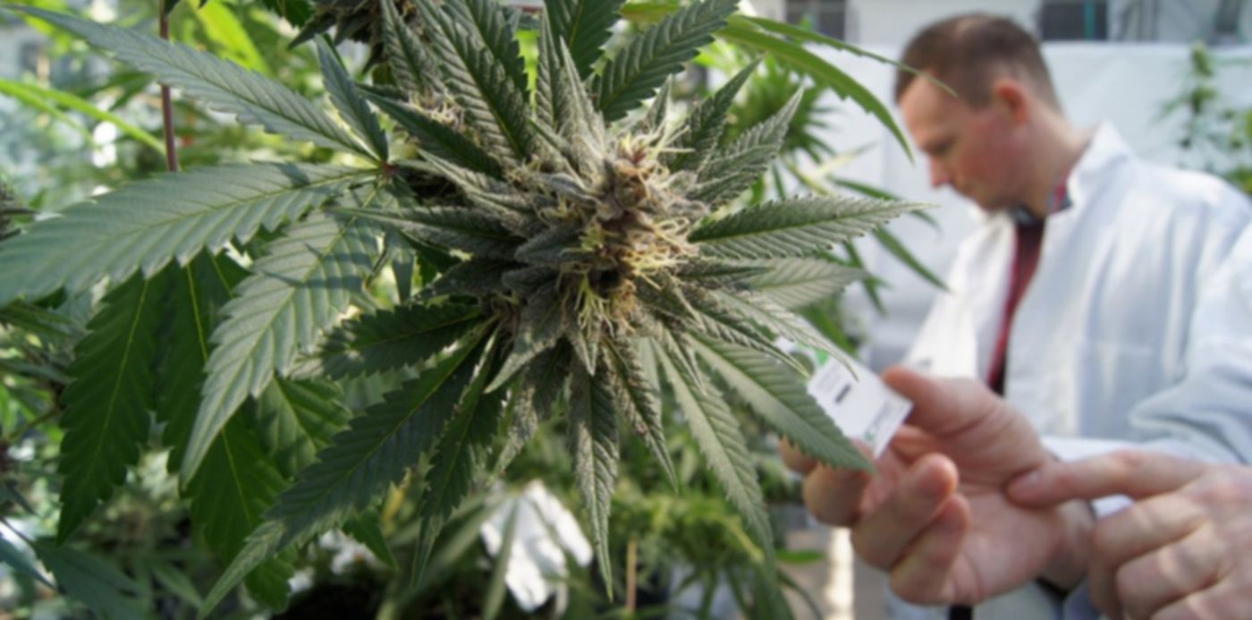 1536785651319.jpg?width=1015&scaleY=1&height=507&rotate=0&scaleX=1&ow=1024&oh=683&x=5&y=103&&cw=1920&ch=950