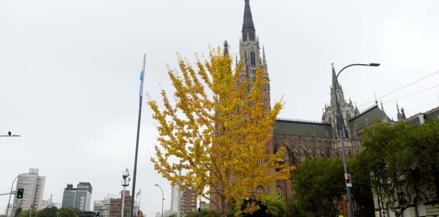 1683630453189.jpg?x=17&y=57&width=1470&height=735&rotate=0&scaleX=1&scaleY=1&ow=1500&oh=975&&cw=1920&ch=950