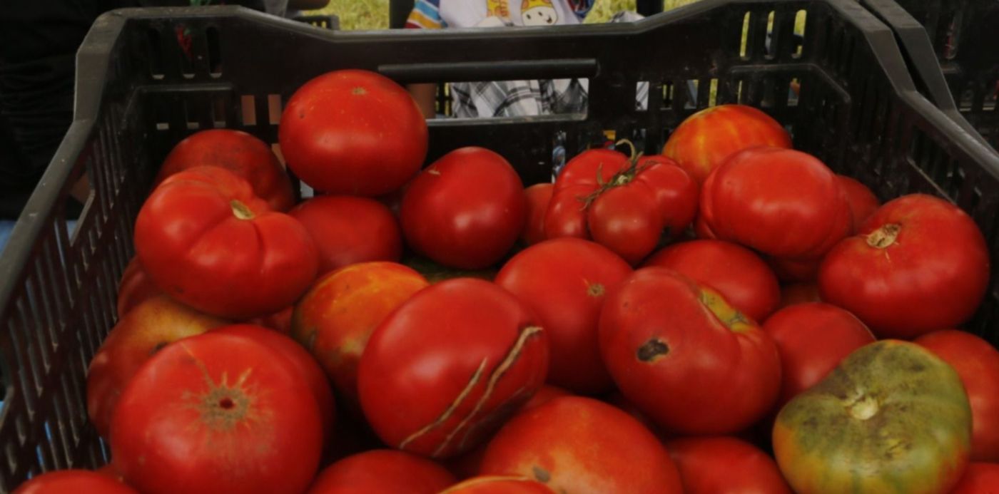 1550010354164.jpg?ow=1500&y=262&rotate=0&scaleX=1&scaleY=1&x=7&width=1473&height=737&oh=999&&cw=1920&ch=950