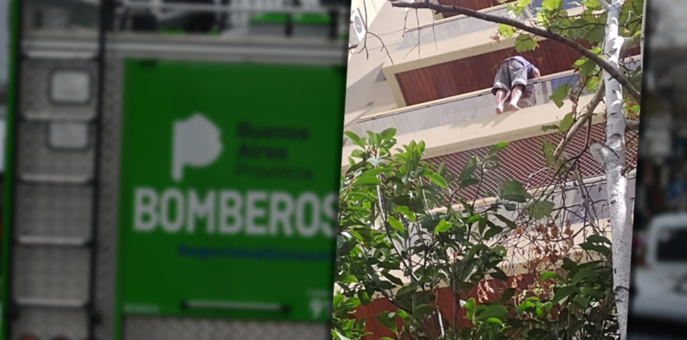 1675795432026.jpg?x=6&y=2&width=1461&height=731&rotate=0&scaleX=1&scaleY=1&ow=1500&oh=742&&cw=1920&ch=950